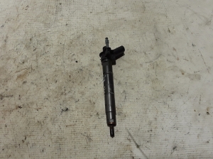   Fuel injector 