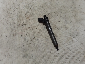   Fuel injector 