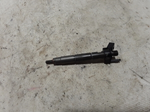   Fuel injector 