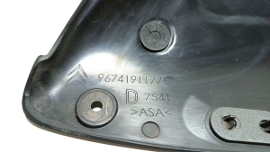 Citroen DS4 (2011–2018) Sonstiges Teil der hinteren Seitentür 9674191177 - 3
