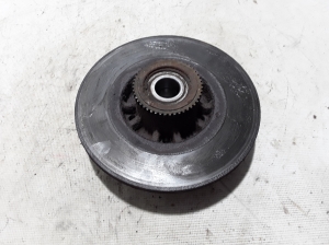 Rear brake disc - 432022742R