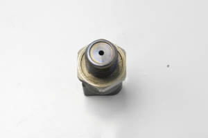  High pressure fuel line sensor 