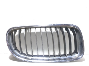 Kühlergrill