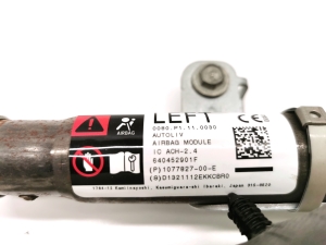 Tesla Model 3 3 (2016–2024) Katuse turvapadi 1077827-00-E - 3