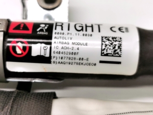 Tesla Model 3 3 (2016–2024) Katuse turvapadi 1077828-00-E - 2