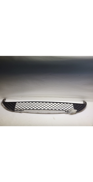 Front bumper lower grille - A1768850022