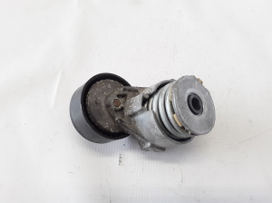 Dacia Sandero (2012–2021) Riemenspanner 117501083R - 2