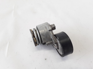 Dacia Sandero (2012–2021) Riemenspanner 117501083R - 4