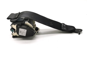 Tesla Model 3 3 (2016–2024) Sicherheitsgurt hinten 1110154-C1-G - 3