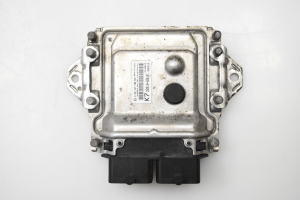 Engine control unit - 3391069L01