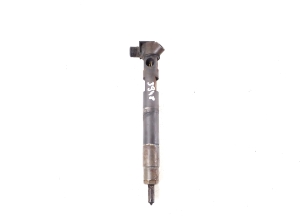   Fuel injector 