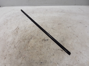 Rear side door outer window molding - 7335690
