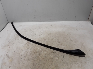 BMW X5 E70 (2006–2013) Außenfensterdichtung vordere Tür 7207834 - 2