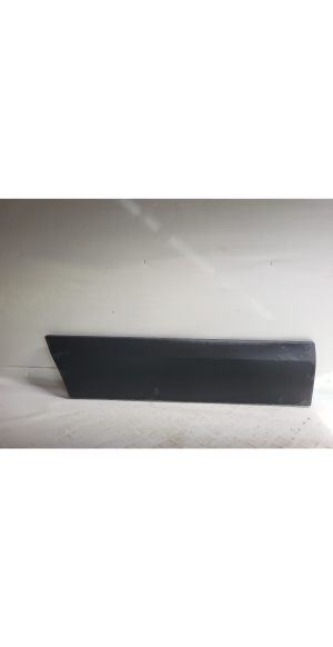 Front door molding - A9066900162