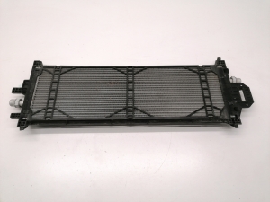 Tesla Model 3 3 (2016–2024) Motorkühler 1077082-00-C - 3