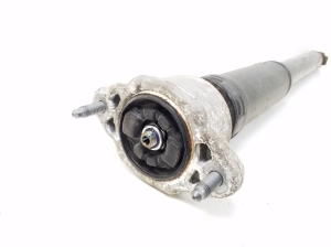 Mercedes Benz E-Class W207 (2009–2017) Stoßdämpfer hinten A2073202530 - 2