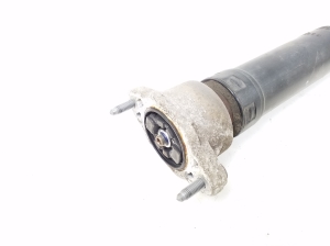 Mercedes Benz E-Class W207 (2009–2017) Stoßdämpfer hinten A2073202530 - 2