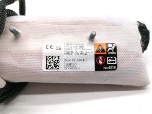 Tesla Model S S (2012–2026) Sitzairbag vorne 1005257-00-C - 4