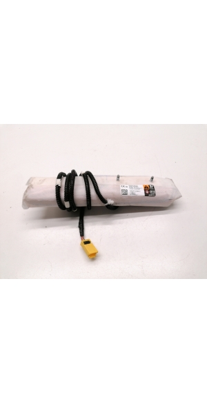 Sitzairbag vorne - 1005257-00-C