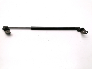 Hood prop/gas strut - 6006603