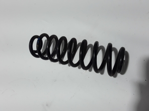 Dacia Spring (2021–2026) Rear spring 550200356R - 2