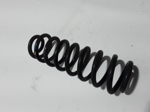 Dacia Spring (2021–2026) Feder hinten 550200356R - 2