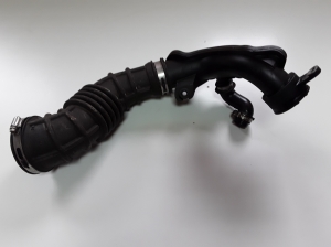 Intercooler hose - DS739F805