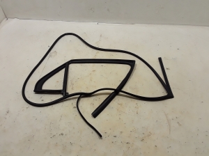 Rear side door seal on the door - 83140-AT000