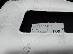 Kia Niro (2016–2022) Rear side door panel 83301AT020 - 2