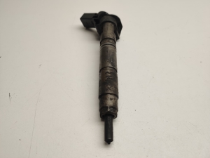   Fuel injector 