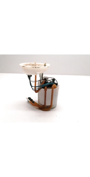 BMW 2 SERIES F45 (2014–2026) Kütusepump paagis 7300463 - 2