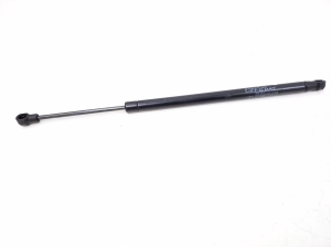   Heckklappendämpfer  - A2079800664 