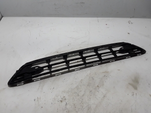  Front bumper lower grille 