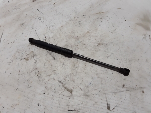   Hood prop/gas strut  - 654706643R 