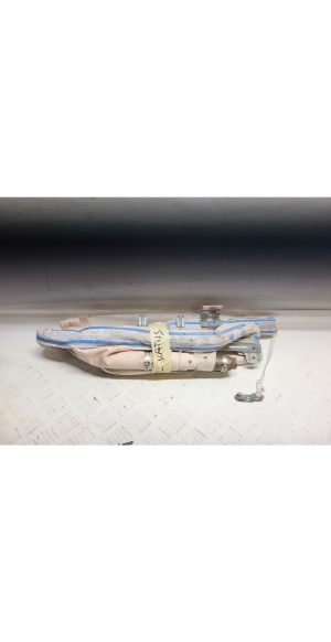 Roof airbag - 306450610