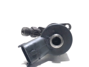 Citroen C4 Picasso (2007–2013) Injektor Einspritzdüse 0445110259 - 2