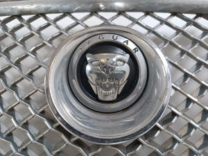  Front grille 