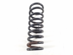   Rear spring 