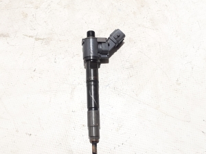   Fuel injector 