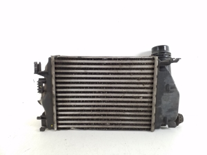 RENAULT Kadjar (2015–2026) Intercooler 144614EA1A - 2