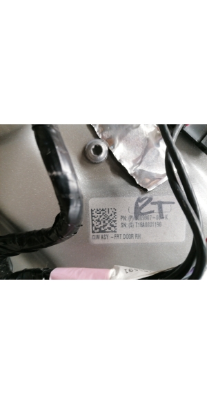Tesla Model X X (2015–2026) Front door 1009907-00-K - 2