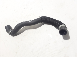 Radiator hose - 215010588R