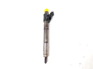   Fuel injector 