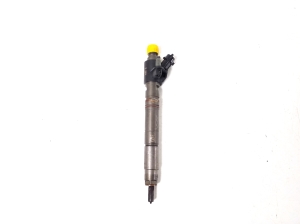   Fuel injector 