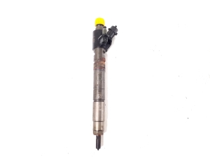   Fuel injector 