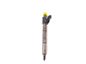   Fuel injector 