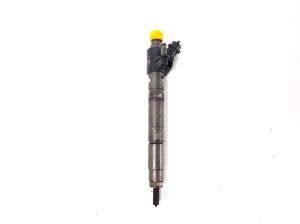   Fuel injector 