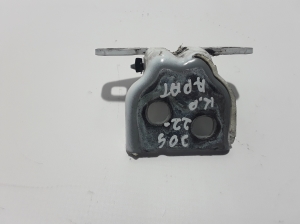 Front door lower hinge - 804207876R