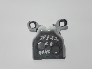 Rear side door lower hinge - 804207876R
