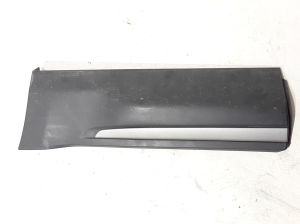   Rear side door strip 